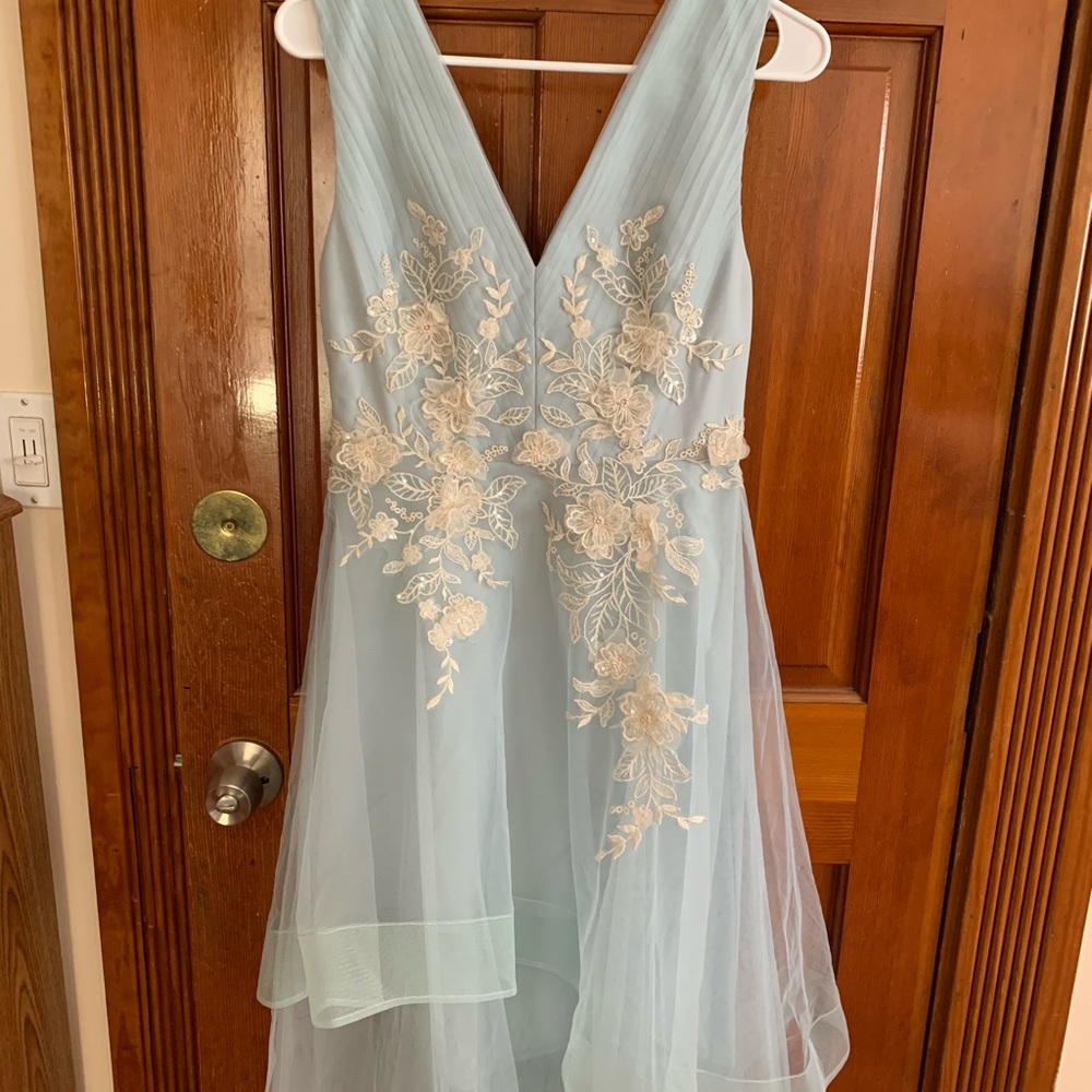 BCBG MaxAzria Tulle Gown size 4 NWT
